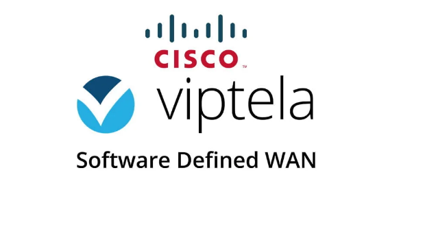 Viptela SD-WAN 9am to 11am Regular 1/7/25
